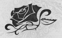 Dark rose wallpaper 1920x1200 jpg
