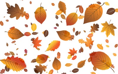 Falling leaves wallpaper