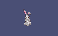 Funny bunny wallpaper 1920x1200 jpg