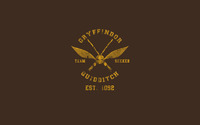 Gryffindor Quidditch team wallpaper 1920x1200 jpg