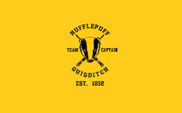 Hufflepuff Quidditch team - Harry Potter wallpaper 1920x1200 jpg