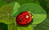 Ladybug [8] wallpaper 1920x1200 jpg
