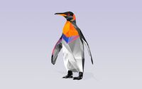 Polygon penguin wallpaper 2560x1440 jpg