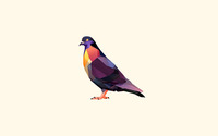 Polygon pigeon wallpaper 2560x1600 jpg