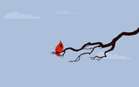 Red bird on a branch wallpaper 2560x1600 jpg