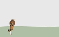 Tiger [29] wallpaper 2560x1600 jpg