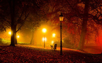 Amazing colors in the autumn park wallpaper 1920x1080 jpg