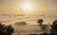 Birds flying above the foggy hills into the sun light wallpaper 1920x1200 jpg