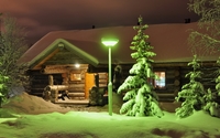 Green lamp on snowy trees wallpaper 2880x1800 jpg