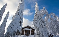 Snowy trees guarding the snowy wooden hut wallpaper 1920x1080 jpg