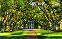 Tree tunnel to the mansion wallpaper 1920x1200 jpg