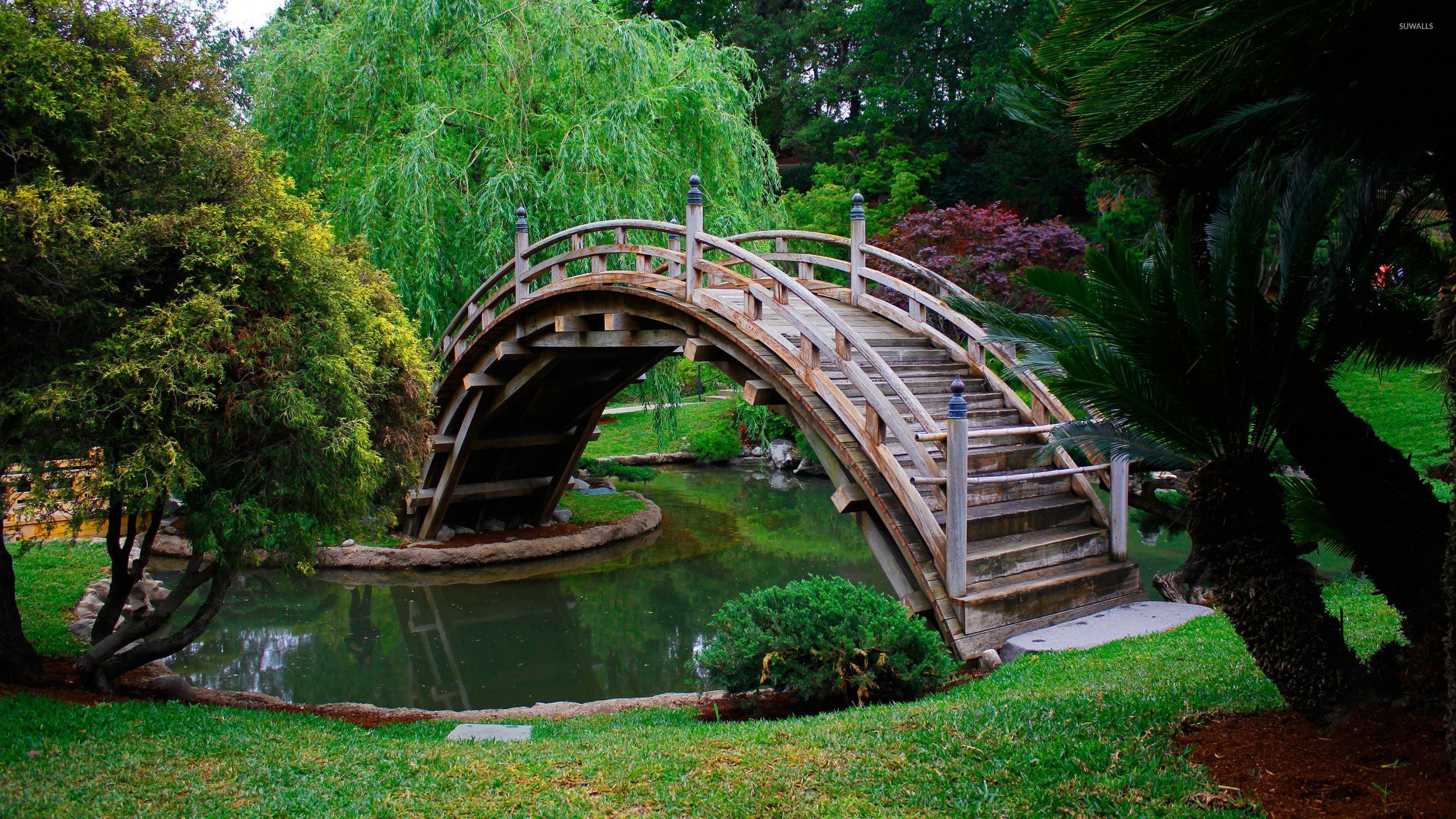 Японский мостик Пушкин парк