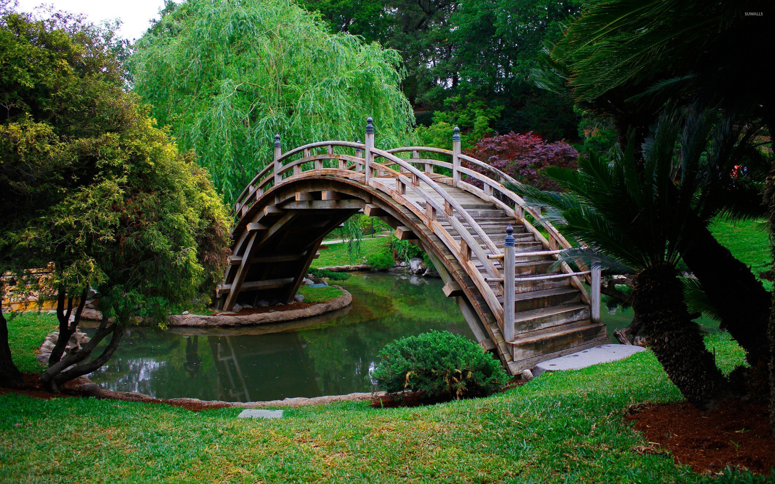 Wooden bridge in a japanese garden wallpaper - World wallpapers - #46816